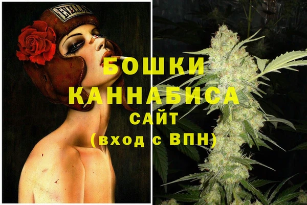 гашик Инсар