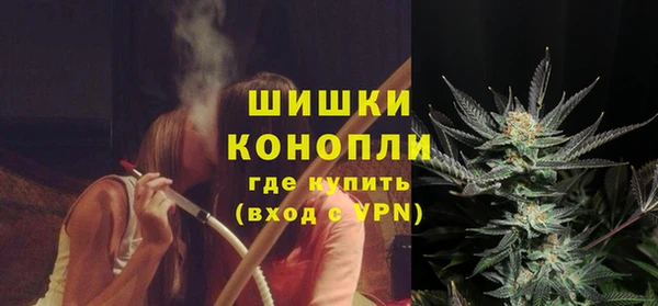 гашик Инсар