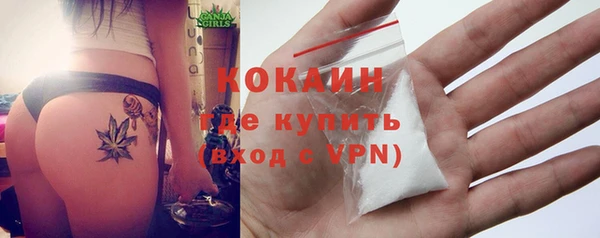 гашик Инсар