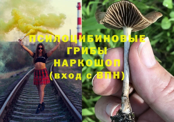 марихуана Инта