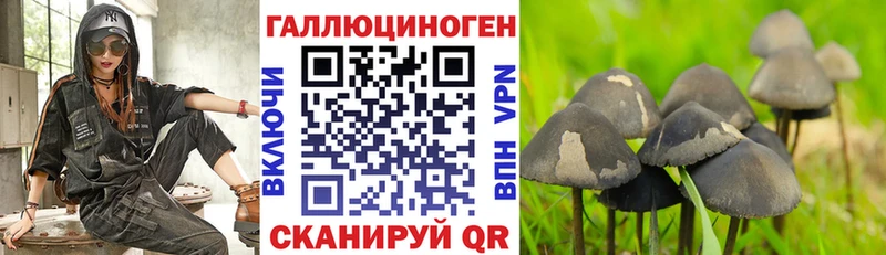 Купить  Всеволожск  Псилоцибиновые грибы мухоморы 